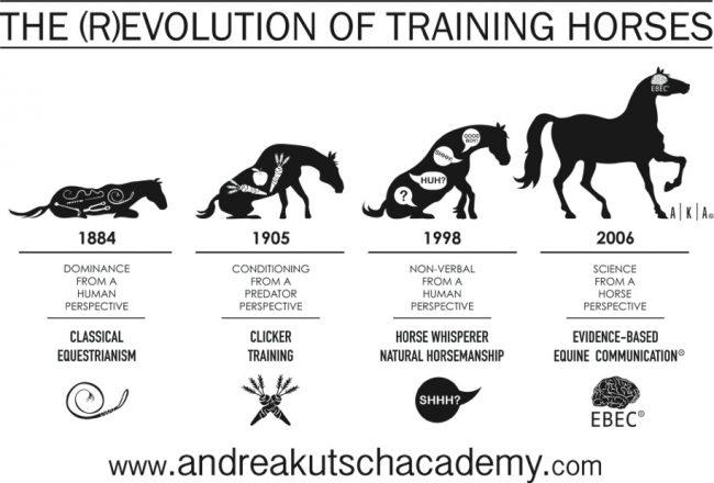 (R)Evolution of training horses